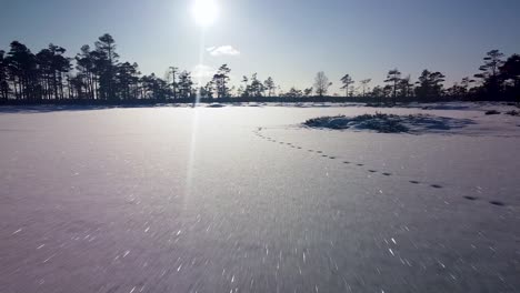 Aerial-view-of-snowy-bog-landscape-with-frozen-lakes-in-sunny-winter-day,-Dunika-peat-bog-,-wide-angle-ascending-drone-shot-moving-forward-fast