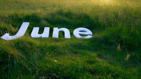 junio escrito en letras blancas en un campo de hierba