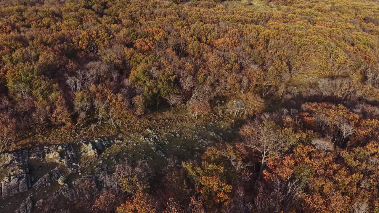 Colorful autumn foliage covers a vast landscape in aerial view