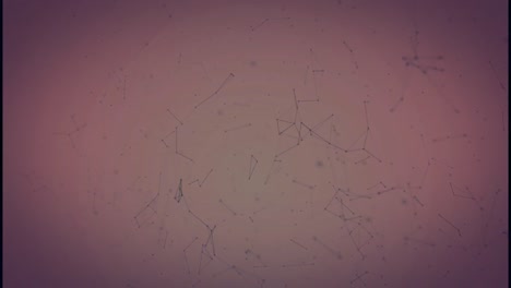 Animation of network of connections on red background