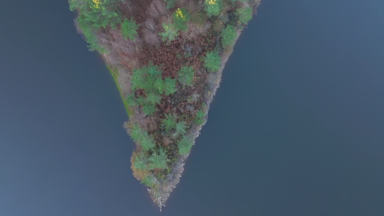 스페인 아 코루나에 있는 리베이라 저수지 연안의 가을 나무 위쪽