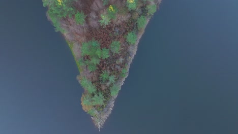 top view of fall trees on the shore of ribeira reservoir in a coruna, spain