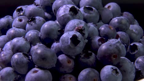 close up rotate blueberries.