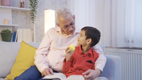 father and son reading a book at home.