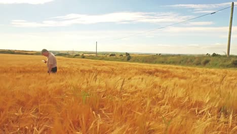 Aerial-view-of-farmer-walking-through-his-fields