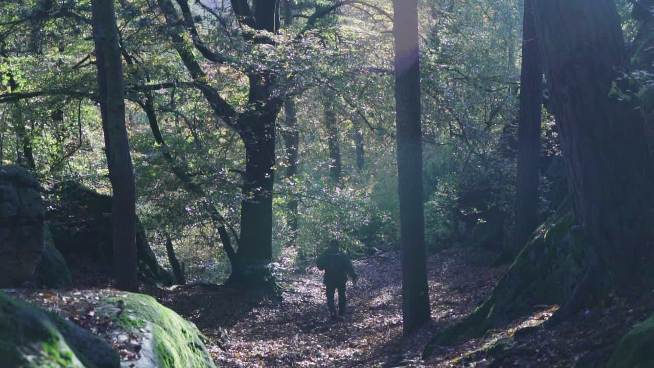 Man Hiking Through a Sunlit Forest Path