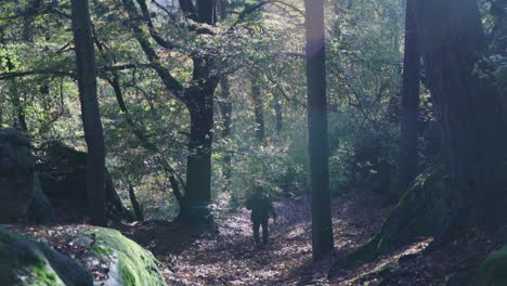 man hiking through a sunlit forest path