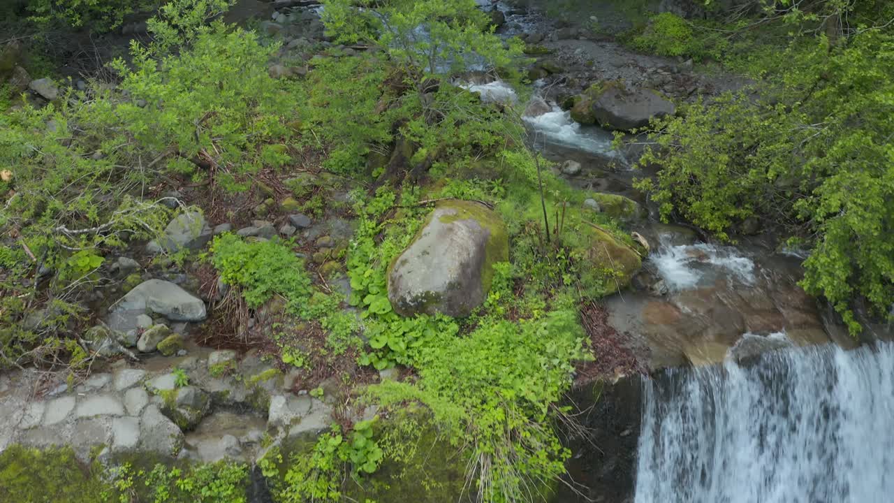 Paseo por el bosque del monte Daisen, azud de ladrillo y arroyo, Tottori, Japón