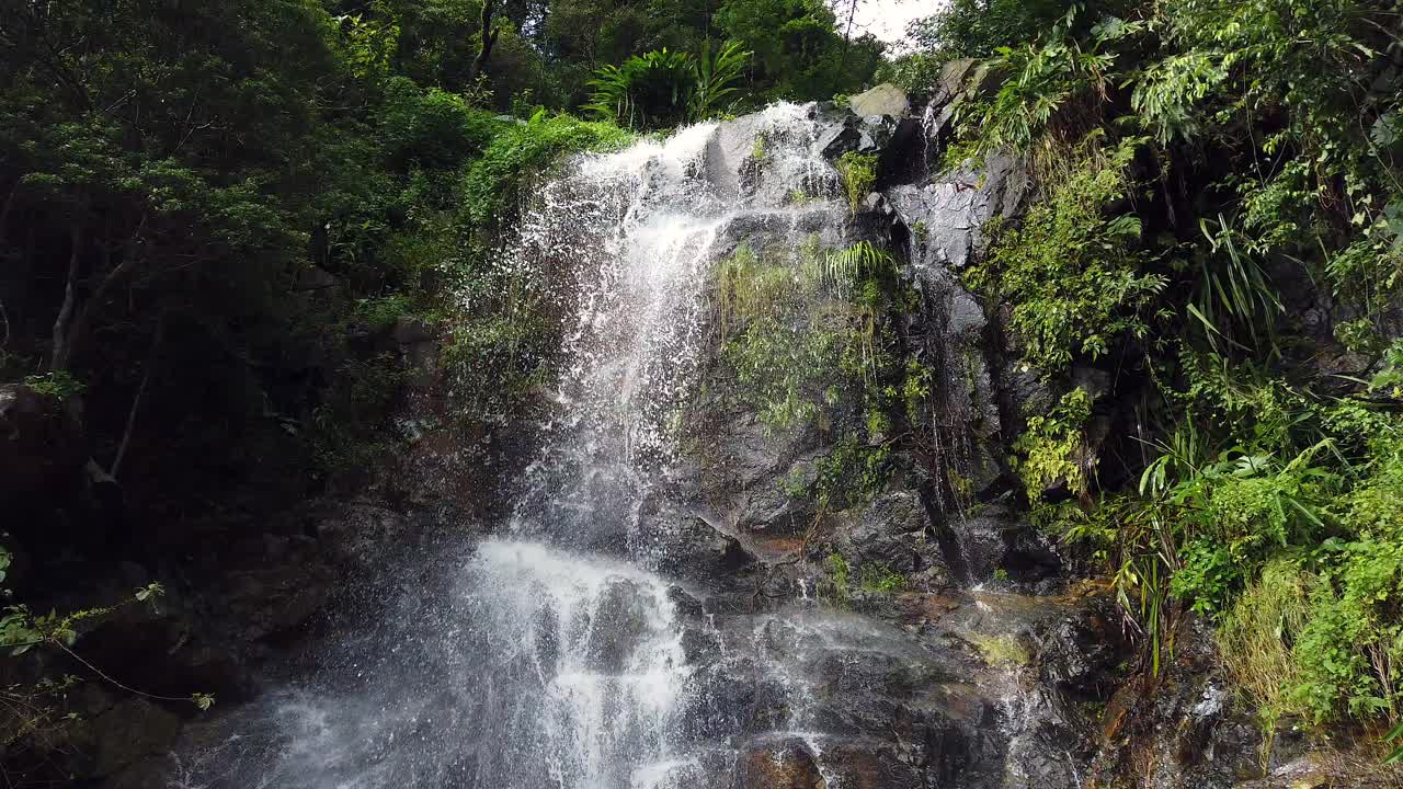 cascada con corriente rápida rodeada de exuberante naturaleza verde