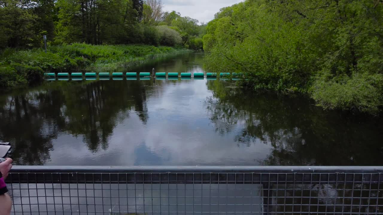 강 과 관광객 이 있는 숲 의 공중 전망