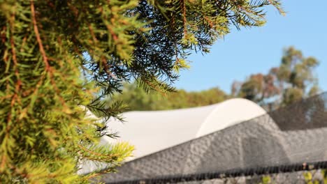 trees and structures in a zoo setting