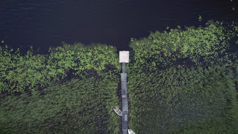 zoom de arriba hacia abajo en toma aérea de drones, pequeño muelle de madera cubierto en la orilla del lago oscuro