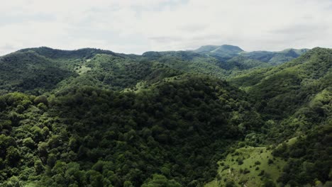 mountainous forest landscape