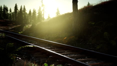 autumn colours along a railway track at sunset