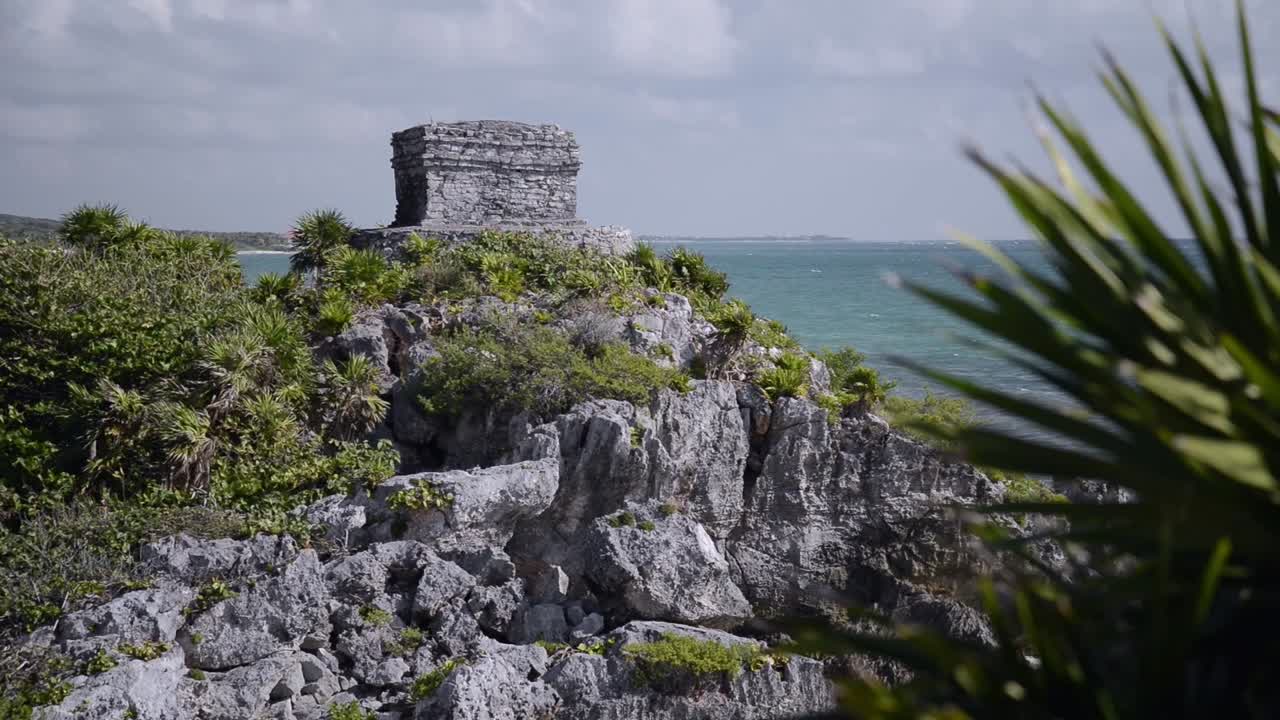 Tulum ruins with palm trees, Mexico