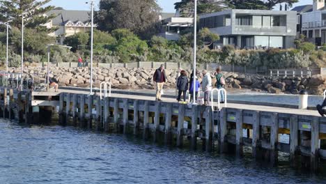 people strolling and fishing on a pier