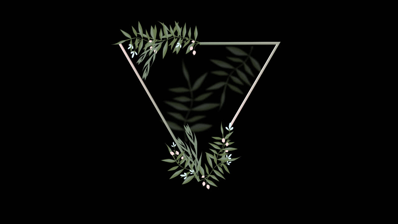 Elegant Floral Triangle Frame Animation on Black