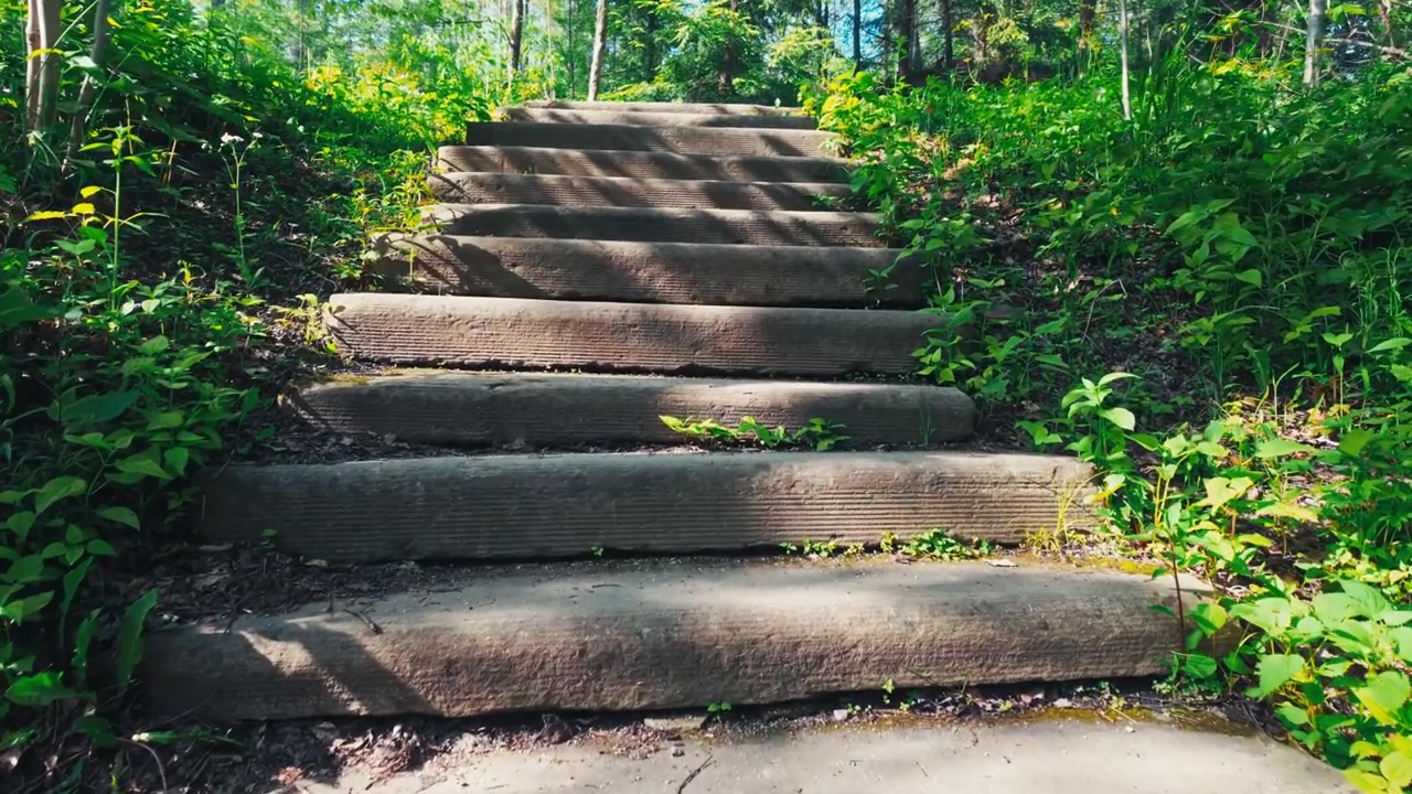 A staircase surrounded by grass and trees in a forest made out of stone and rock.