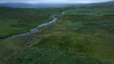 Many-Reindeer-Running-Along-Arctic-River-in-Northern-Sweden,-Aerial-Forward