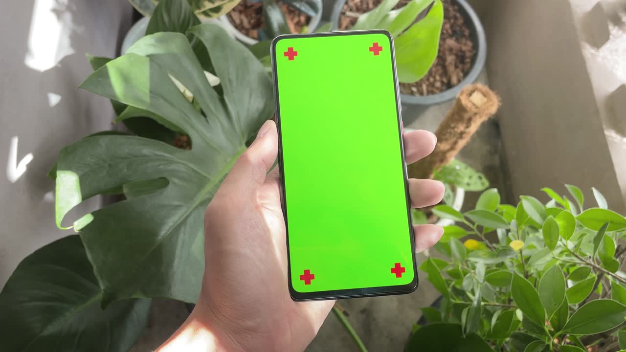 pantalla de teléfono verde en el jardín árbol naturaleza con canal alfa