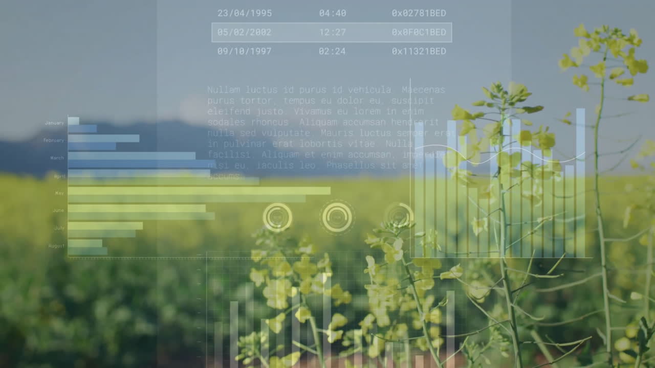 animación del procesamiento de datos financieros en el campo