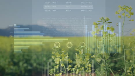 animation of financial data processing over countryside