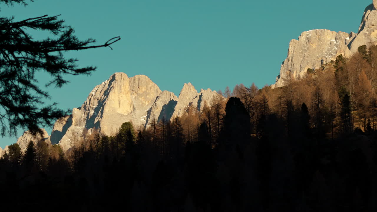 cordillera con bosque