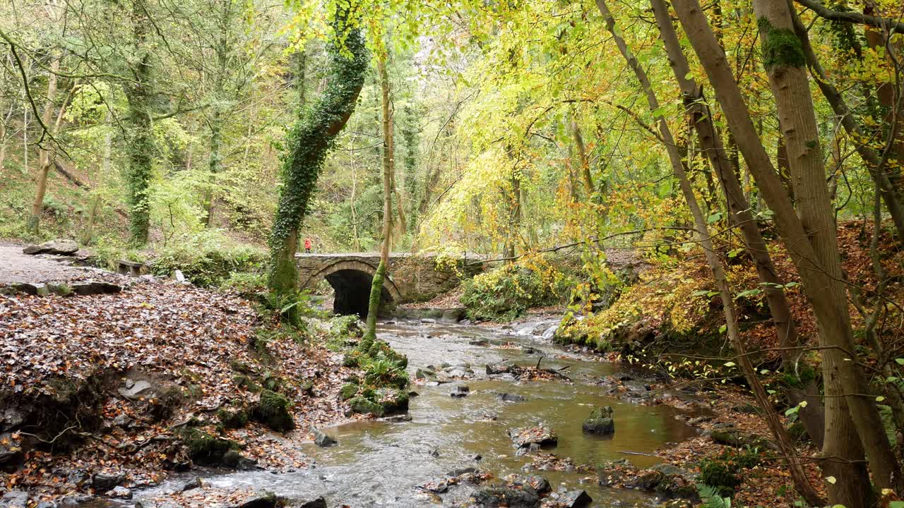 temporada de otoño bosque que fluye bosque arroyo exuberante follaje bajo el puente de arco de piedra