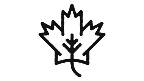 imágenes de animación de iconos de bosque y canal alfa