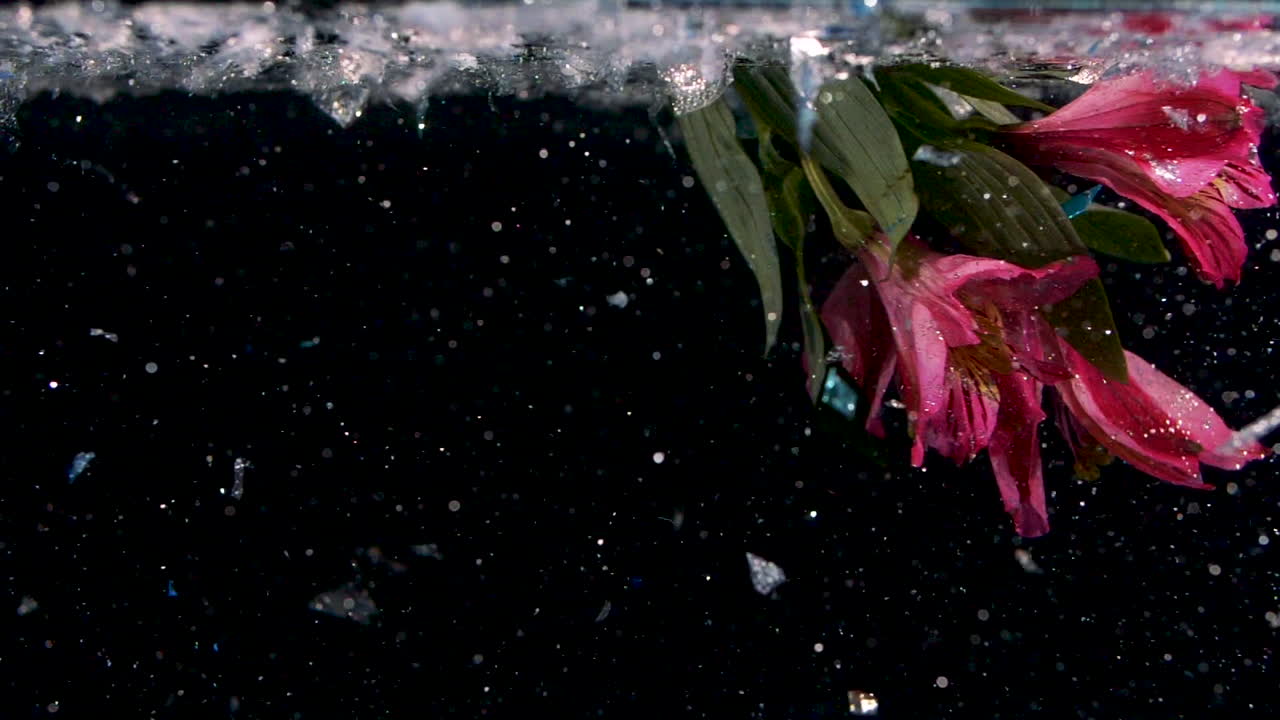 flores subacuáticas rosadas en brillo con magia de fondo negro