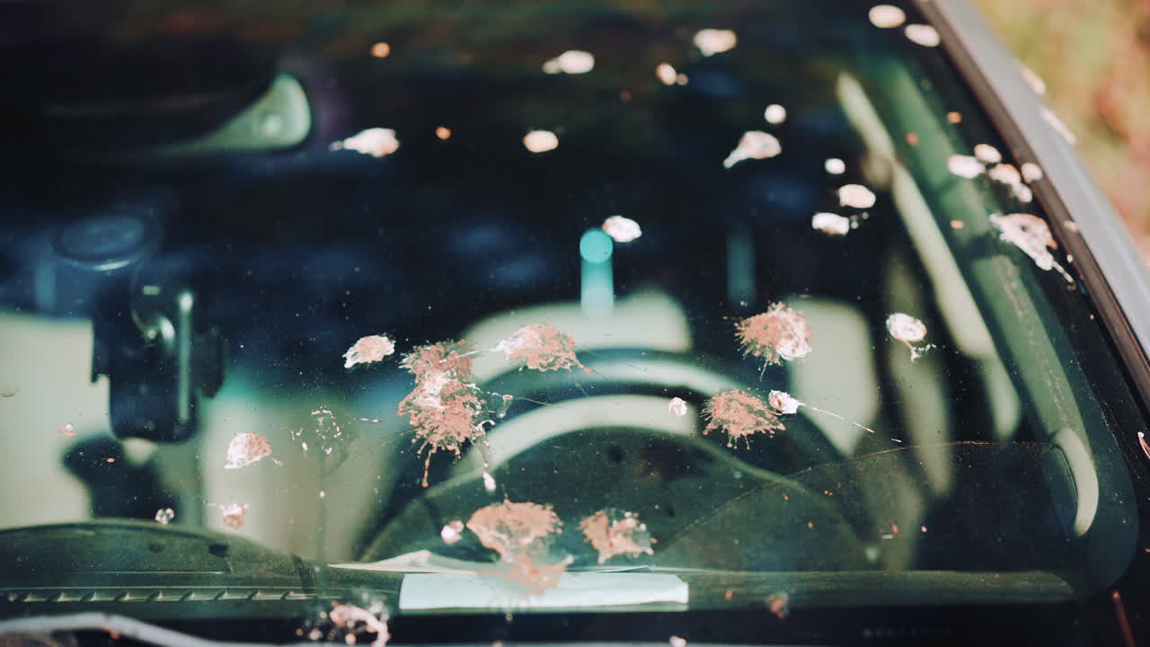 Close up of a car windshield dirty with multiple bird droppings