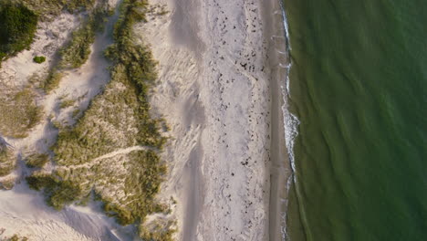 aerial top down of sand dunes on skagen beach in denmark at golden hour sunset