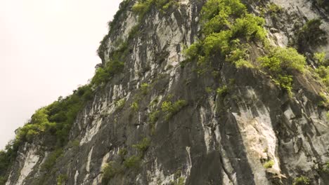 Bäume-Und-Sträucher-In-Einem-Bergkarst-In-Guilin,-China