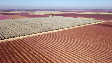 campos agrícolas en california en primavera