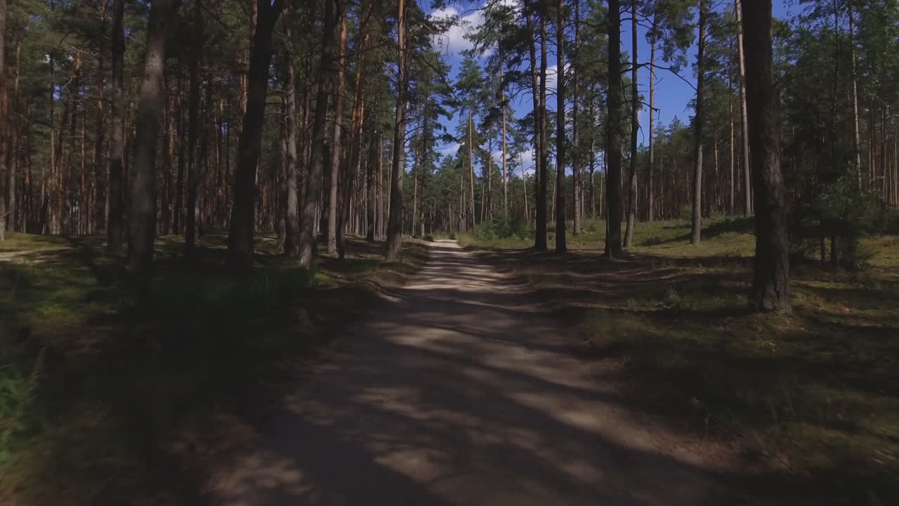 Gravel Road in the Coniferous Forest on a Sunny Summer Day. Aerial Low Moving Forward