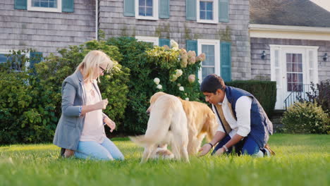 Paar-Spielt-Mit-Hunden-Im-Hinterhof