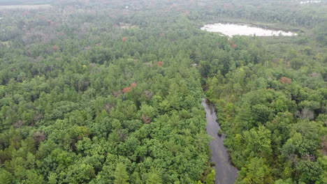 Imágenes-Aéreas-Del-Río-Michigan-Con-Drones-Del-Condado-De-Baldwin-Michigan