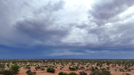 dark clouds drift over the southern landscape of the kalahari