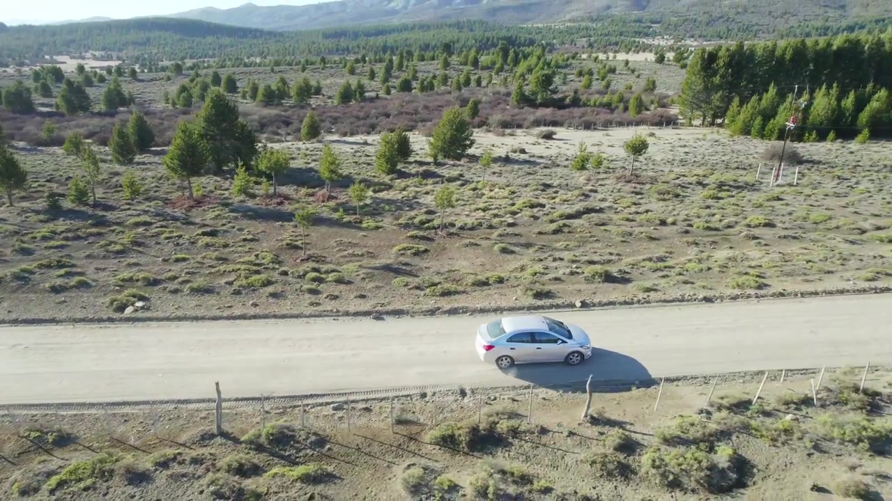 Viaggio su strada attraverso una steppa nel sud dell'Argentina, vicino a Bariloche