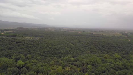 Bewölkter-Himmel-über-Olivenhain,-Toskana,-Italien