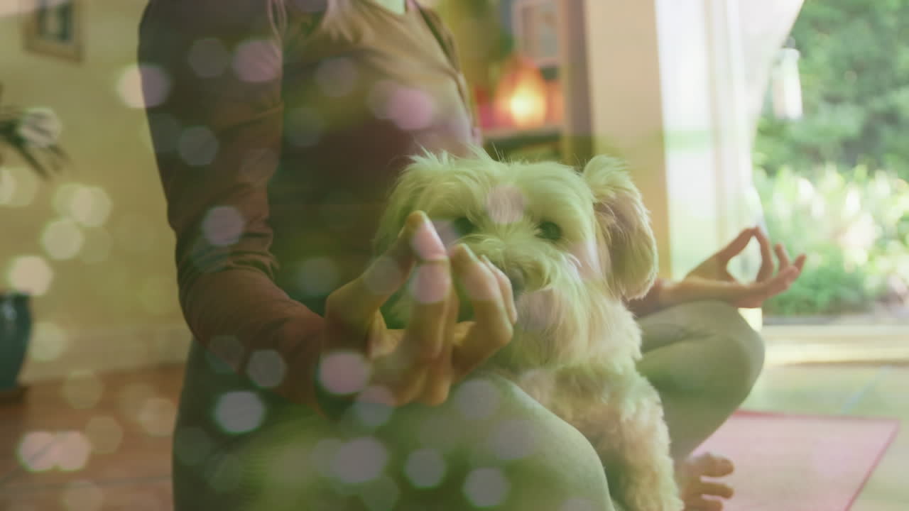 그녀의 개가 그녀의 무 ⁇ 에 앉아있는 동안 요가를 수행하는 여성의 중간 섹션에 대한 빛의 반점