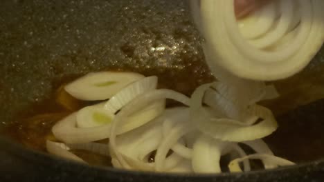 closeup shot of putting onion ingredients in cooking pot