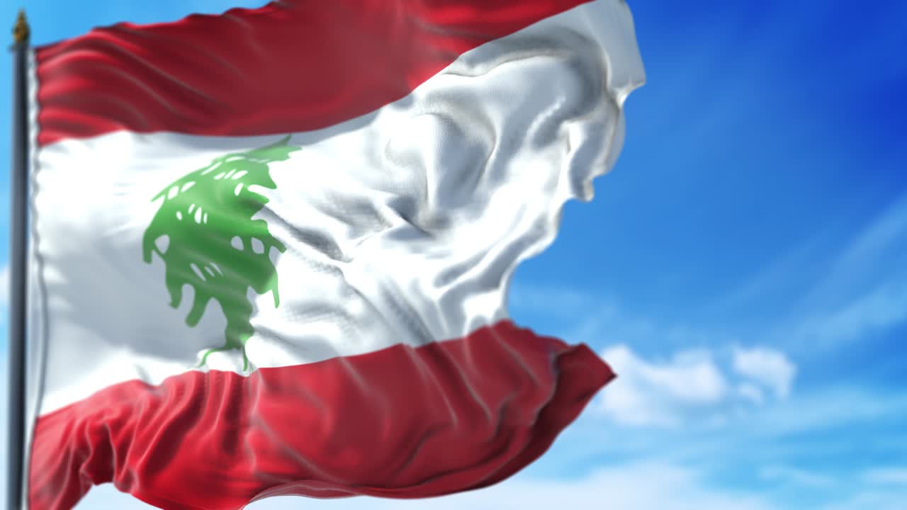 레바논의 발이 푸른 하늘을 향해 천천히 흔들리고 있습니다.