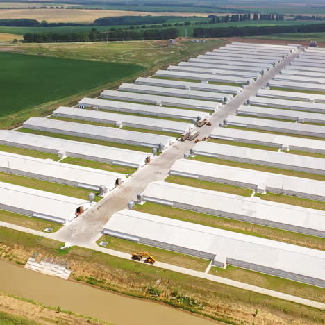 farm of modern agricultural business approach. two rows of modern buildings for farming outdoors. aerial view.