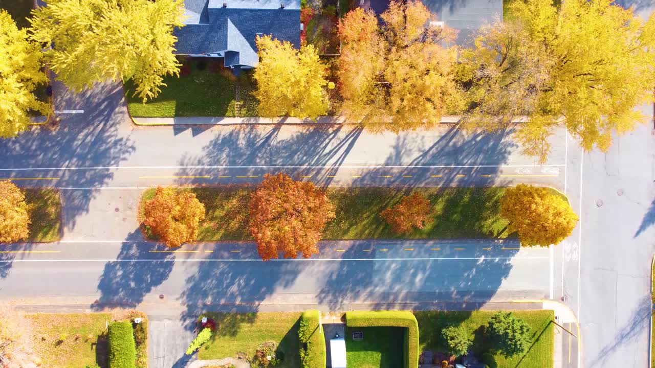 Trees with vibrant autumn colors along a quiet street in estrie, québec, aerial view