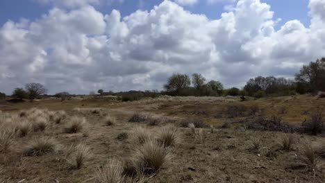 Paisaje-De-Dunas-Holandesas,-Hermoso-Cielo-Nublado,-Imágenes-De-Fondo