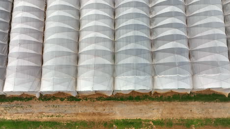 top down aerial of greenhouse barns with white plastic. aerial truck shot.