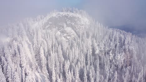 Winter-aerial-wonder:-Drone-footage-captures-the-enchanting-beauty-of-snow-covered-mountain-pines-embraced-by-misty-clouds,-a-mesmerizing-spectacle