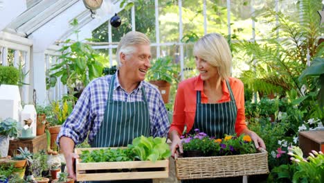 Portrait-of-mature-couple-holding-pot-plant