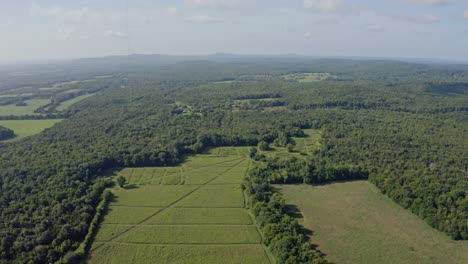 Antena-4k-Sobre-Campo-De-Heno-Recién-Cortado-Con-Patrón-En-Hierba-Rodeado-De-Bosque